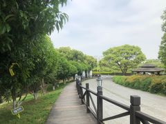 -树山生态村