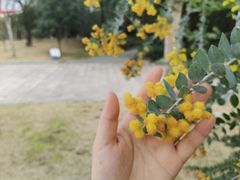 -牛岗山公园