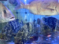 -日照大牌檔•小船海鲜(万平口店)