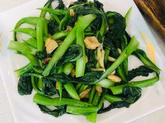 -津津名菜馆(绝没分店)