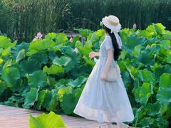 -艾溪湖湿地公园