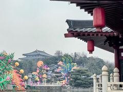 -唐御宴•御宴宫•唐代菜点(芙蓉西路店)