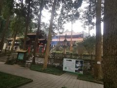 -都江堰普照寺