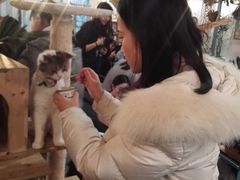-共舞时光猫咖·狗咖(新街口店)