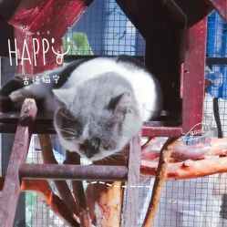 -酷嗒动物文化乐园(cutezoo西溪乐天城店)