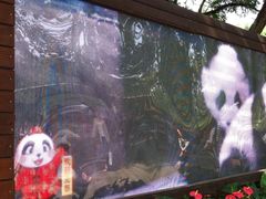 iphone_upload_pic-成都大熊猫繁育研究基地