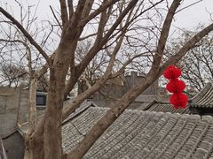 -糖房咖啡(南锣鼓巷店)