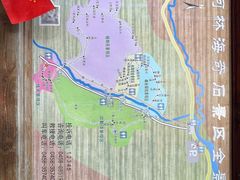 -汤旺河林海奇石景区