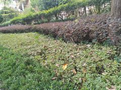 -贵州师范大学(宝山北路校区)