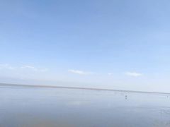 -碧海金沙
