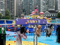 -海合安成都极地海洋公园