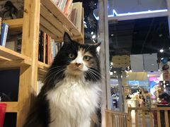 -小时光咖啡馆(开森度假森林店)