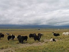 -青海湖国家重点风景名胜区
