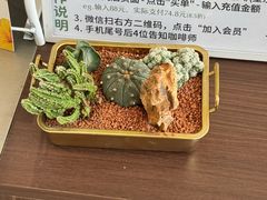 -高嶺咖啡(望京店)