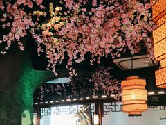 -荷塘秋月·本帮江浙菜(国权路店)