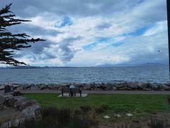 -香港东海海鲜酒家