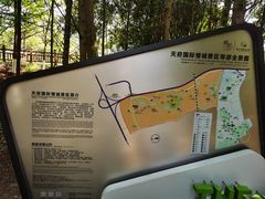 -桤木河湿地公园