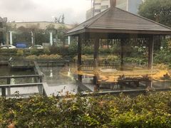 -渔堂公园餐厅·本帮菜(乐园路店)