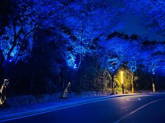 -千岛湖天屿景区