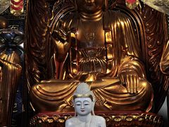 -普陀山慧济禅寺