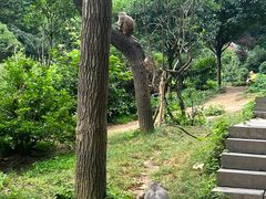 -黔灵山公园