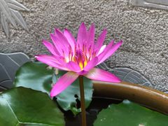 -抚仙湖禄充风景区