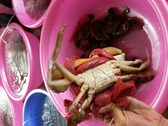 android_upload_pic-幸福姐海鲜大排档