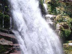 -青峰峡国家森林公园