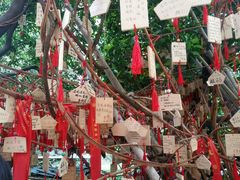 -小洲村