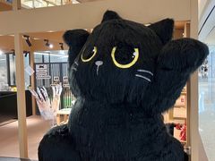 -爪爪喵星球·猫舍(卓悦中心店)