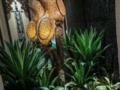 -素可汤泉(天宝大厦店)