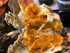 -黄记大闸蟹专卖店·活蟹·醉蟹
