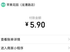 -苹果花园(龙漕路店)