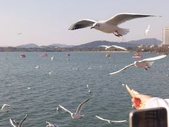 -蠡湖大桥公园