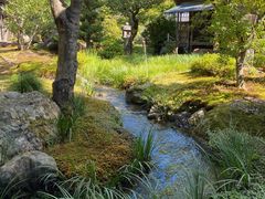 -天龙寺