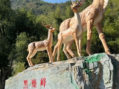 -长沙黑麋峰国家森林公园