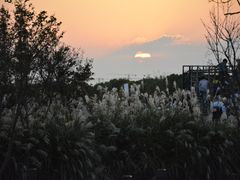 -嘉北郊野公园