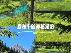-白鹭湾湿地公园