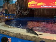 -华夏文旅海洋公园