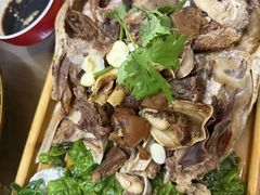 -沽源味道(中环路店)