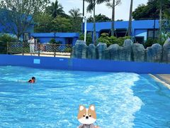 -汕头中海黄金海岸水上乐园