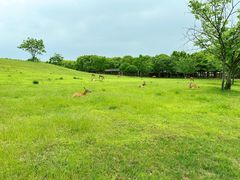 -良渚古城遗址公园