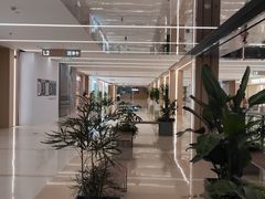 -凯德MALL(望京店)