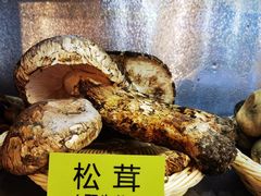 -菌海森林·非遗野生菌火锅(西山区滇池路摩根道店)