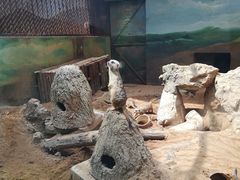 -昆明动物园