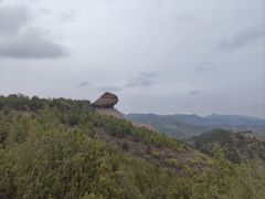 -磬锤峰森林公园