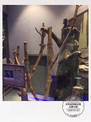 -未来动物城动物主题公园(大悦城店)
