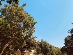 -碧桂园润杨溪谷温泉酒店