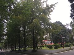校内环境-四川大学(望江校区)