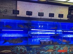 -中国大酒店·食街
